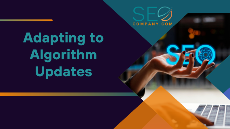 Adapting to Algorithm Updates