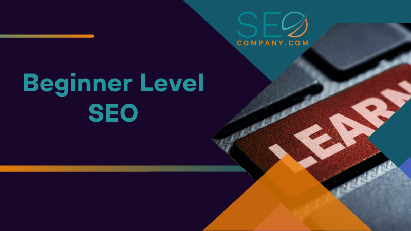 Beginner Level SEO