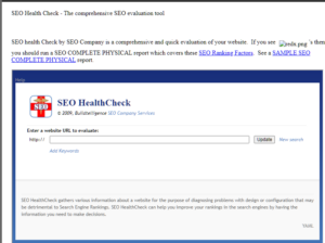 2011 SEO Company Screenshot SEO Health Check