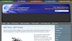 SEO Company Screen Capture 2009