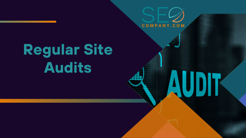 Regular Site Audits