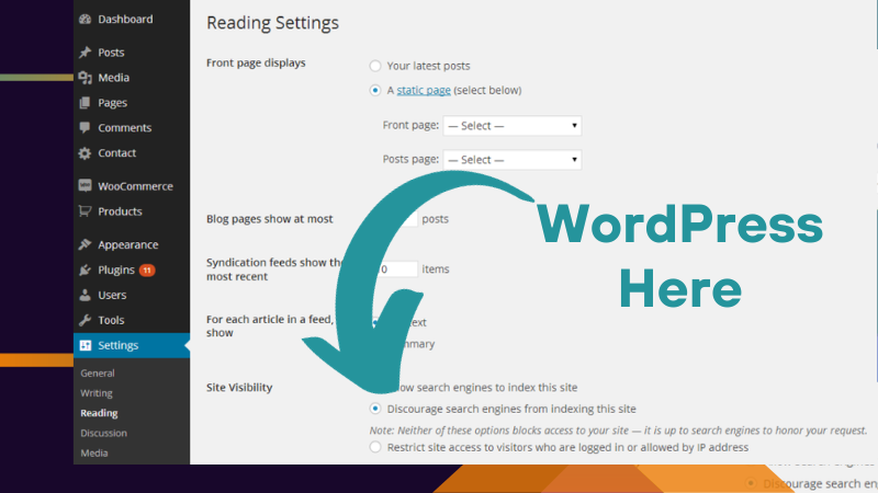 WordPress Accidental NoIndex CHECK THIS FIRST